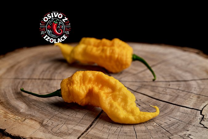 Mantis Claw Yellow - ISO | Chilli semena