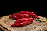 Aji Norteno - ISO | Chilli semena