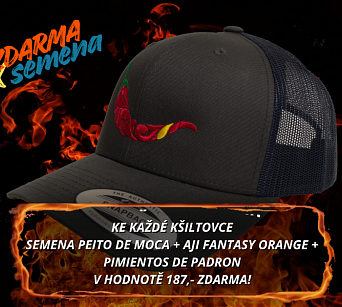 Kšiltovka chilli head - RETRO TRUCKER charcoal