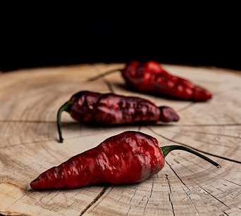 Testanera Magma - ISO