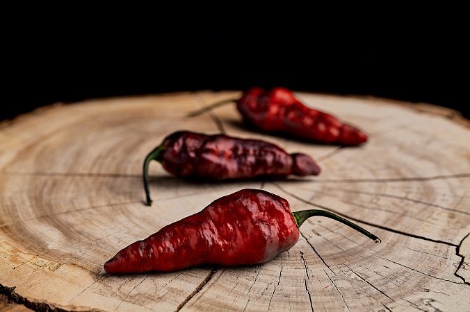 Testanera Magma - ISO | Chilli semena