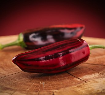 Candy Cane Chocolate "Mocha Swirl" - ISO