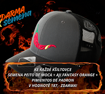 Kšiltovka chilli head - BRYCE gray