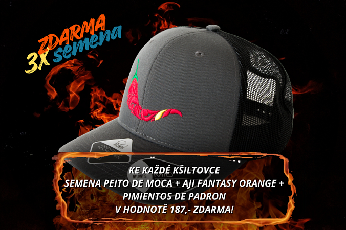 Kšiltovka chilli head - BRYCE gray | Kšiltovky