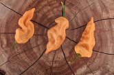 Bhut Jolokia Purple Peach - ISO • | Chilli semena