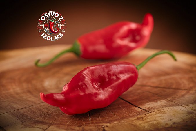 Aji Norteno - ISO | Chilli semena