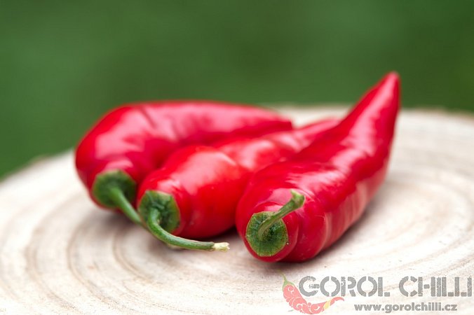 Aji Lucento | Chilli semena