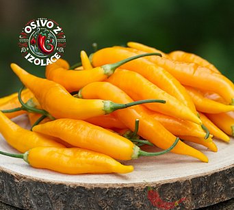 Aji Challuaruro Amarillo - ISO