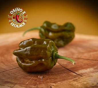 Green Habanero - ISO