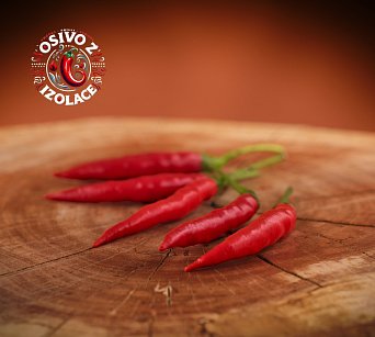 Cabai Chilli Tree - ISO