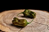 Green Habanero - ISO | Chilli semena