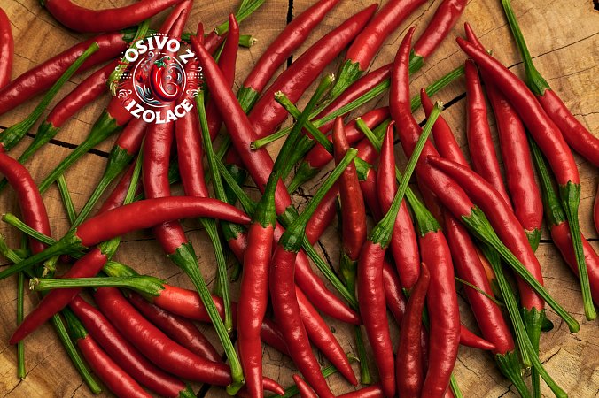 Chi-Chien - ISO | Chilli semena