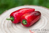 Jalapeno Big Pit - ISO | Chilli semena