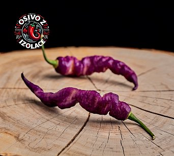 Pimenta Bella Purple - ISO