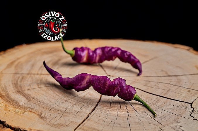 Pimenta Bella Purple - ISO | Chilli semena