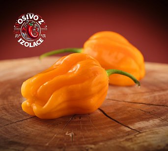 West Indian Yellow Habanero - ISO
