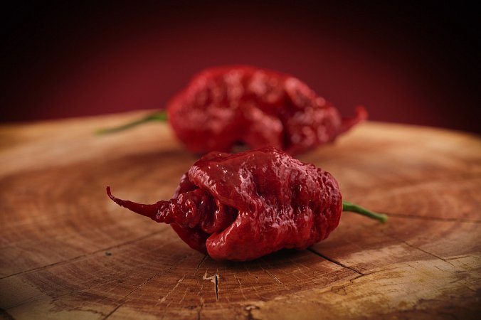 Tiberius Mauler Caramel | Chilli semena