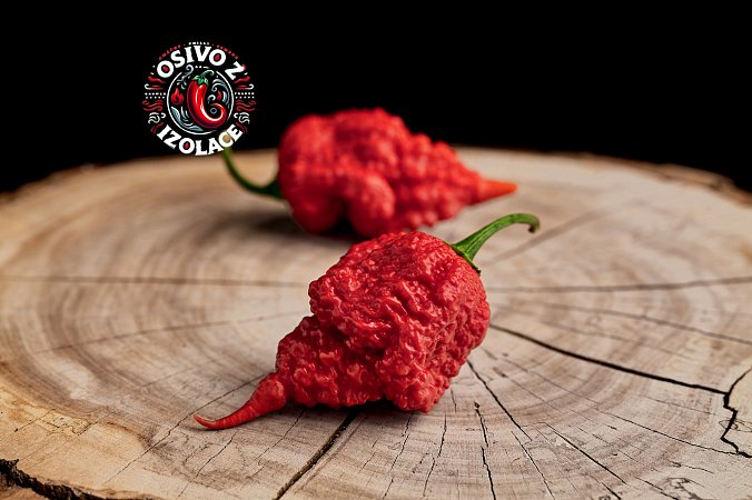 RB 003 - ISO • | Chilli semena