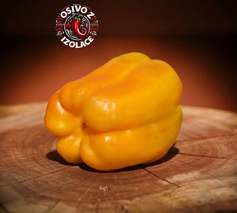 Heavyweight Hybrid Yellow - ISO •