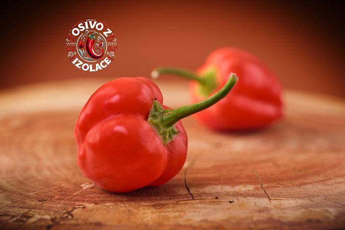 Peppadew - ISO | Chilli semena