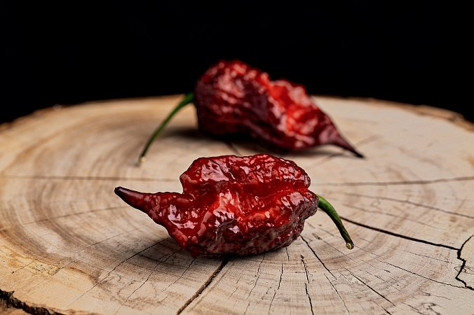 Gator Jigsaw Purple - ISO | Chilli semena