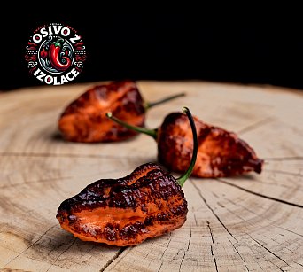 Pimenta da Dog - ISO •