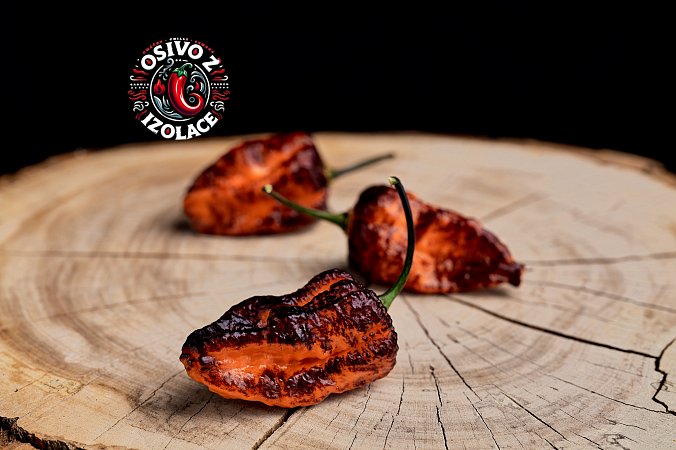 Pimenta da Dog - ISO • | Chilli semena