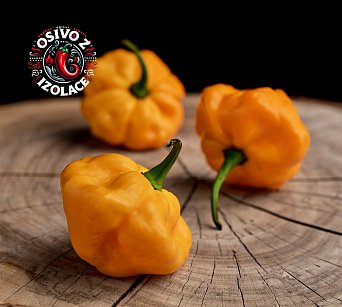 Scotch Bonnet TFM - ISO