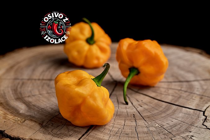 Scotch Bonnet TFM - ISO | Chilli semena