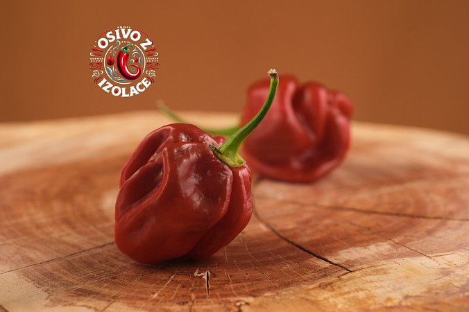 Habanero Cappuccino - ISO | Chilli semena