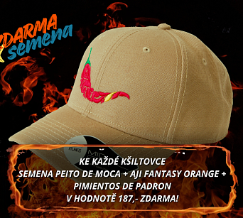 Kšiltovka chilli head - BEAT khaki