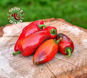 Jalapeno Maylon - ISO