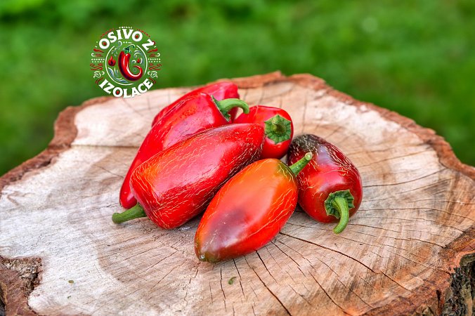 Jalapeno Maylon - ISO | Chilli semena