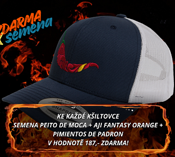Kšiltovka chilli head - RETRO TRUCKER navy blue