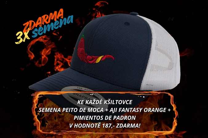 Kšiltovka chilli head - RETRO TRUCKER navy blue | Kšiltovka chilli