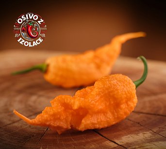 Reaper of Death Orange - ISO •