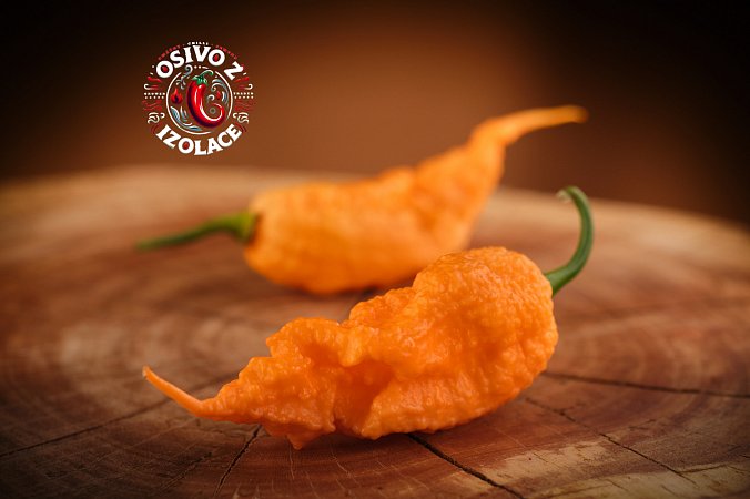 Reaper of Death Orange - ISO • | Chilli semena
