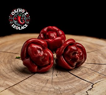 Scotch Bonnet Cappuccino - ISO •