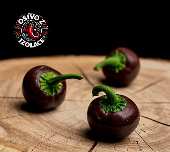 Chocolate Cherry - ISO