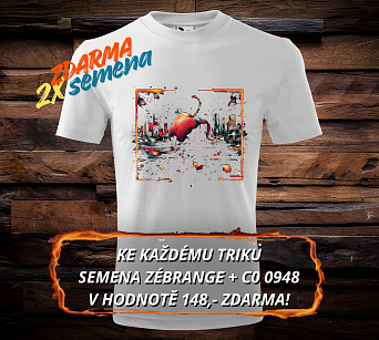 ROCOTO - chilli triko