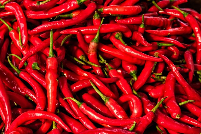 Ring of Fire | Chilli semena