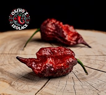 Gator Jigsaw Purple - ISO •