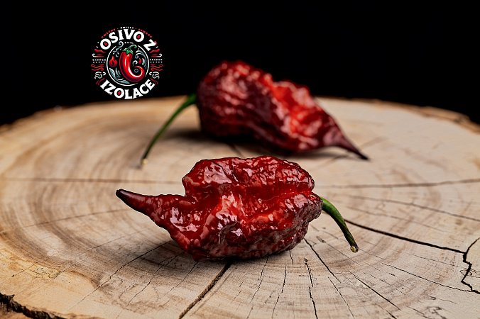 Gator Jigsaw Purple - ISO • | Chilli semena