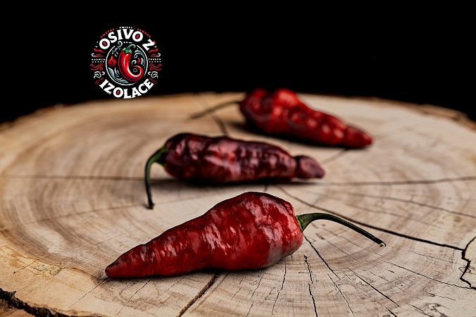 Testanera Magma - ISO | Chilli semena