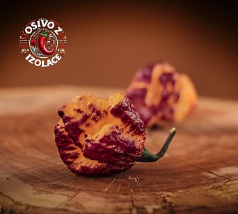 Pockmark Peach - ISO •