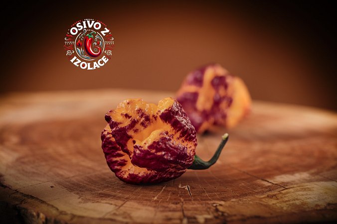 Pockmark Peach - ISO • | Chilli semena