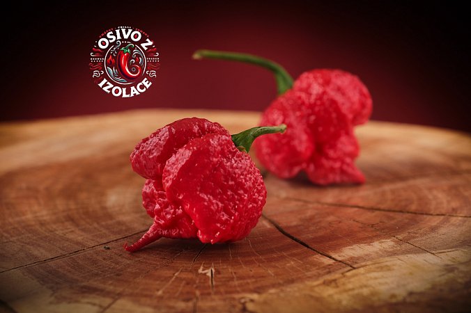 Hurt Berry - ISO | Chilli semena