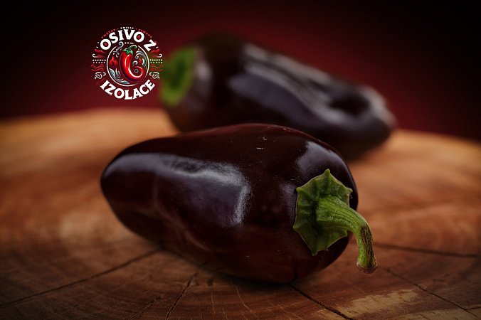 Jalapeno Brown - ISO | Chilli semena