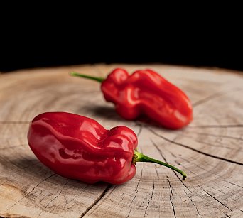 Habanero Ugandan Red - ISO