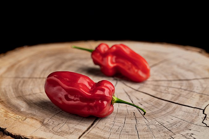 Habanero Ugandan Red - ISO | Chilli semena